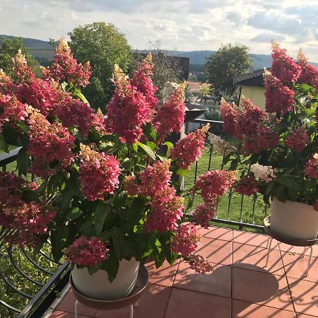 Haus Buena Vista Hotel Bad Kissingen Eksteriør billede