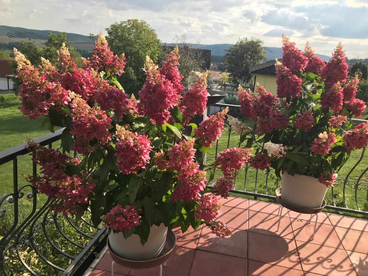 Haus Buena Vista Hotel Bad Kissingen Eksteriør billede